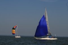 IMG_6017