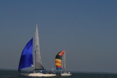 IMG_6019