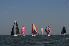 IMG_6031