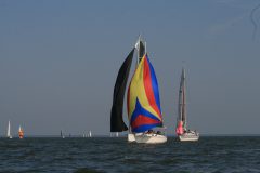IMG_6035