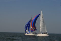 IMG_6047