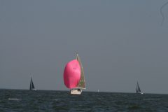 IMG_6081