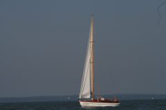IMG_6101