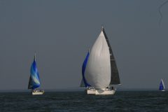IMG_6104