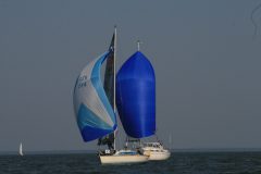 IMG_6113