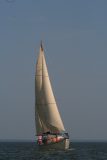 IMG_6181
