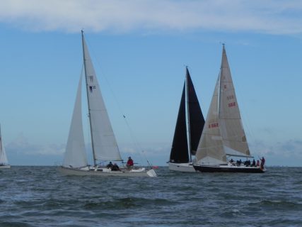 73. Haffregatta