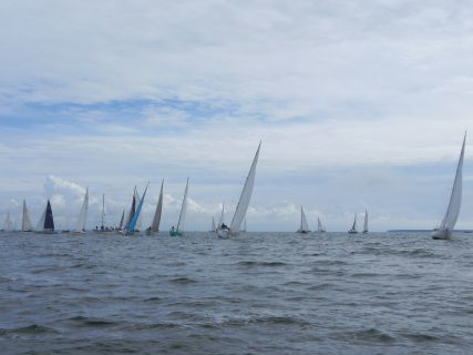 73. Haffregatta