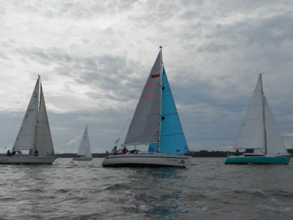 73. Haffregatta