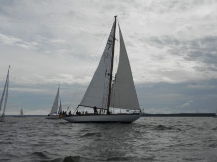 73. Haffregatta