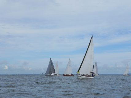 73. Haffregatta