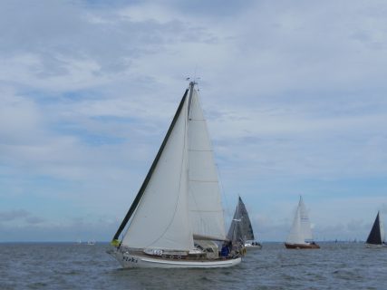 73. Haffregatta