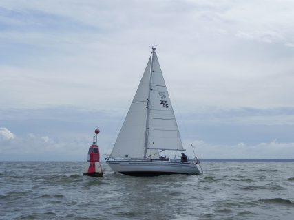 73. Haffregatta