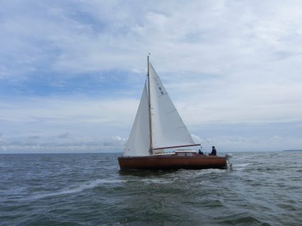 73. Haffregatta