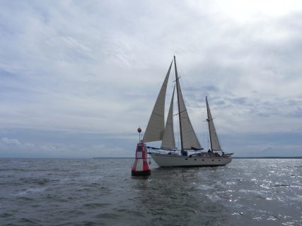 73. Haffregatta