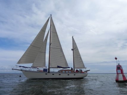 73. Haffregatta