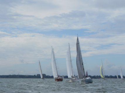 73. Haffregatta