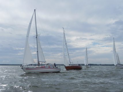 73. Haffregatta