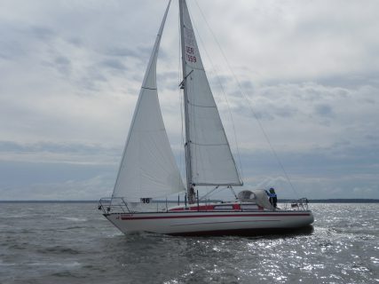 73. Haffregatta
