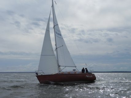 73. Haffregatta