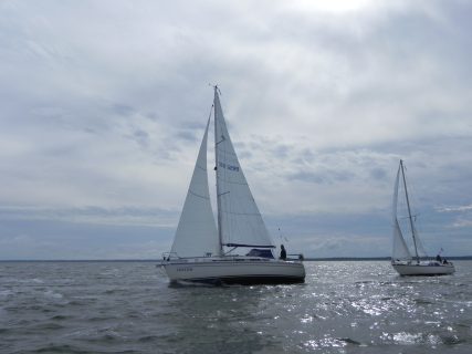 73. Haffregatta