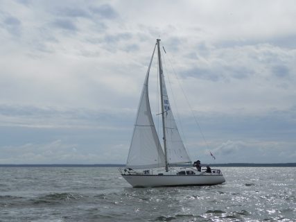 73. Haffregatta