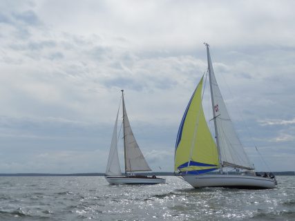 73. Haffregatta