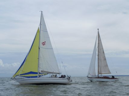 73. Haffregatta