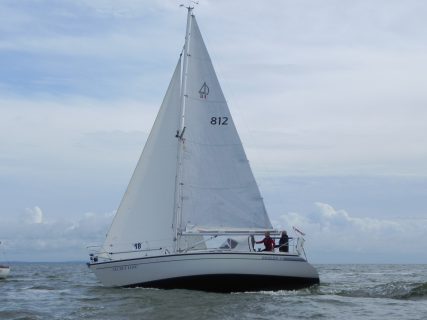 73. Haffregatta