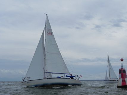 73. Haffregatta