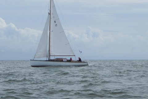 73. Haffregatta
