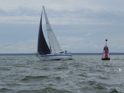 73. Haffregatta