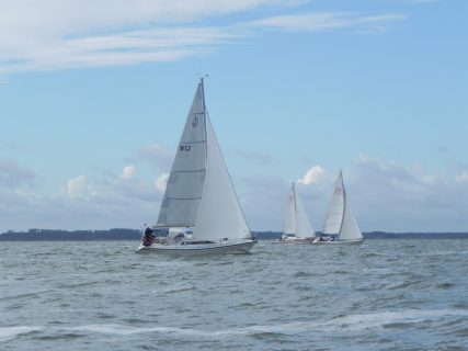 73. Haffregatta