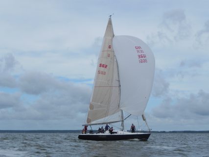73. Haffregatta