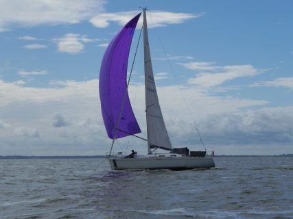 73. Haffregatta