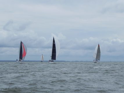 73. Haffregatta