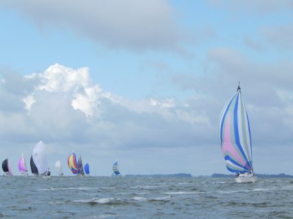 73. Haffregatta