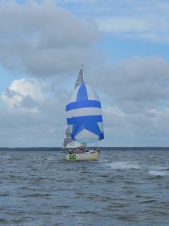 73. Haffregatta