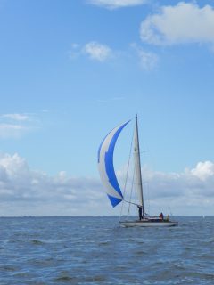 73. Haffregatta