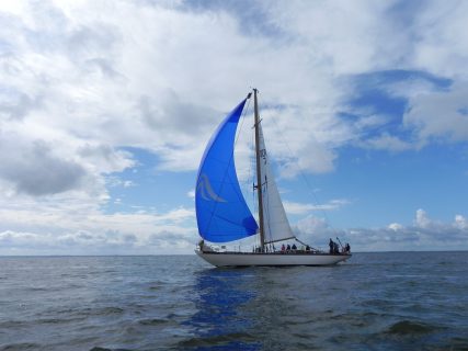 73. Haffregatta