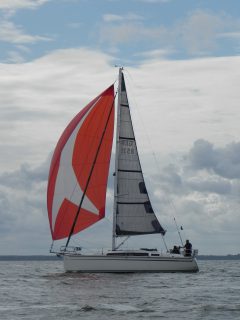 73. Haffregatta