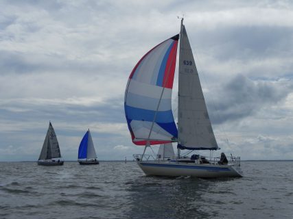 73. Haffregatta