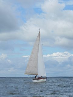 73. Haffregatta