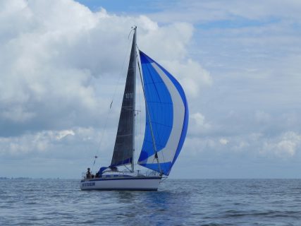 73. Haffregatta