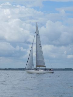 73. Haffregatta