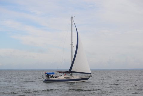 73. Haffregatta