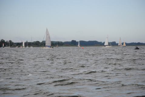 73. Haffregatta