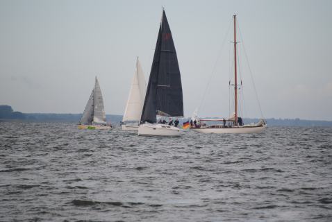 73. Haffregatta