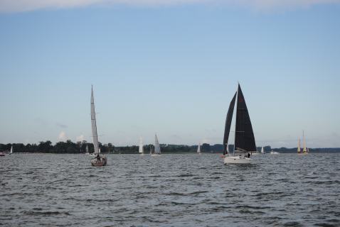 73. Haffregatta