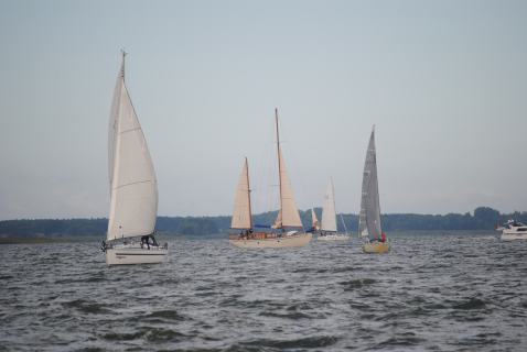 73. Haffregatta